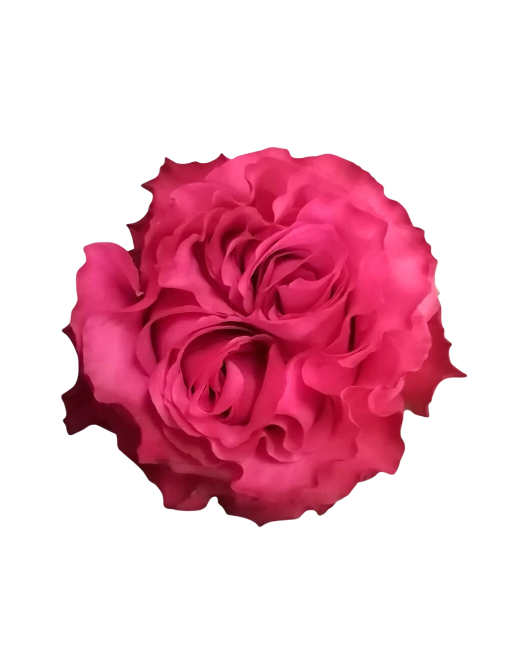 Country Blues Country Blues - Image 1