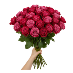 Red Panther - Image 2