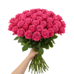 Hot Explorer - Image 2