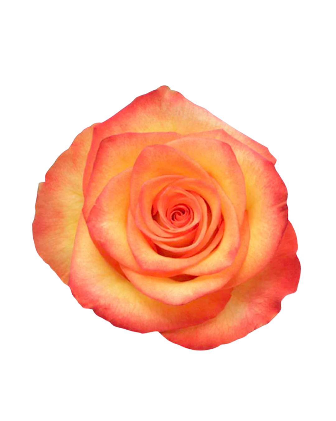 High Magic High Magic - Image 1