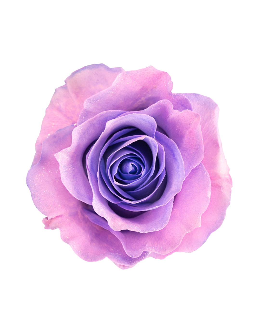 Lavender Vibes Lavender Vibes - Image 1