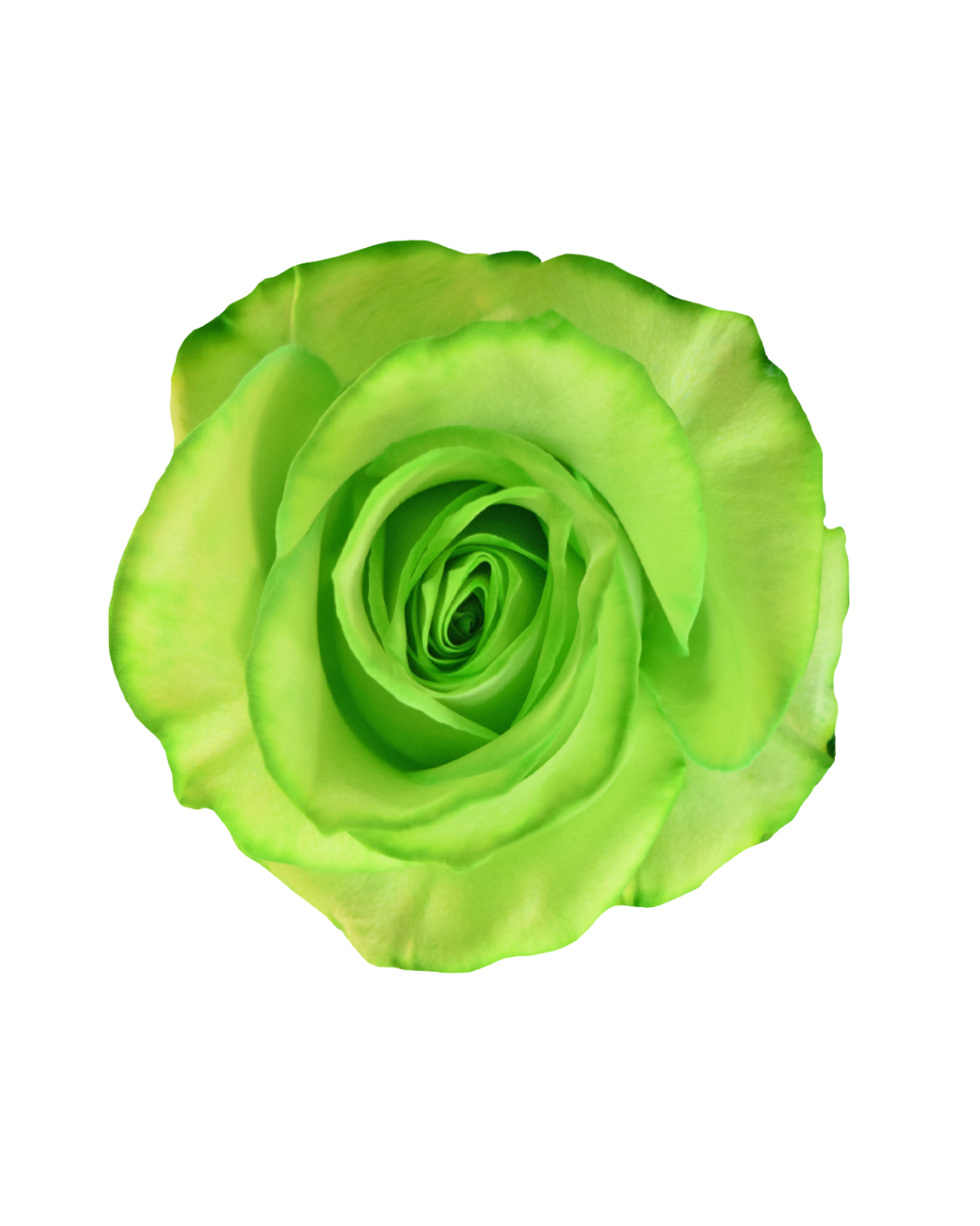 Light Green Light Green - Image 1