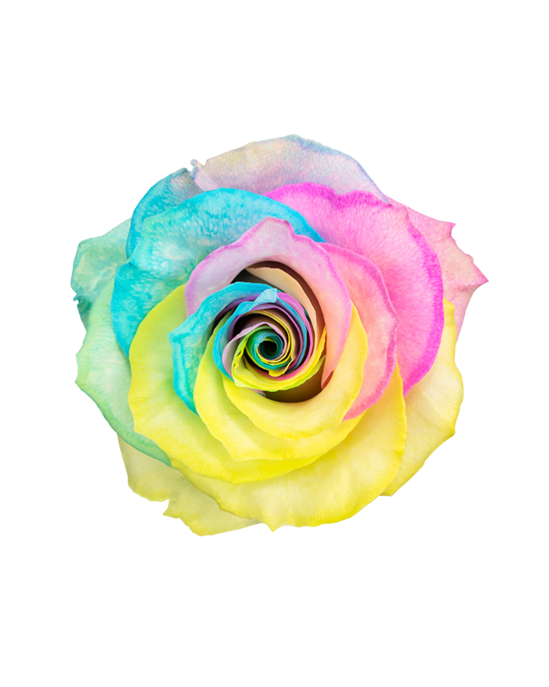 Marshmellow Marshmellow - Image 1