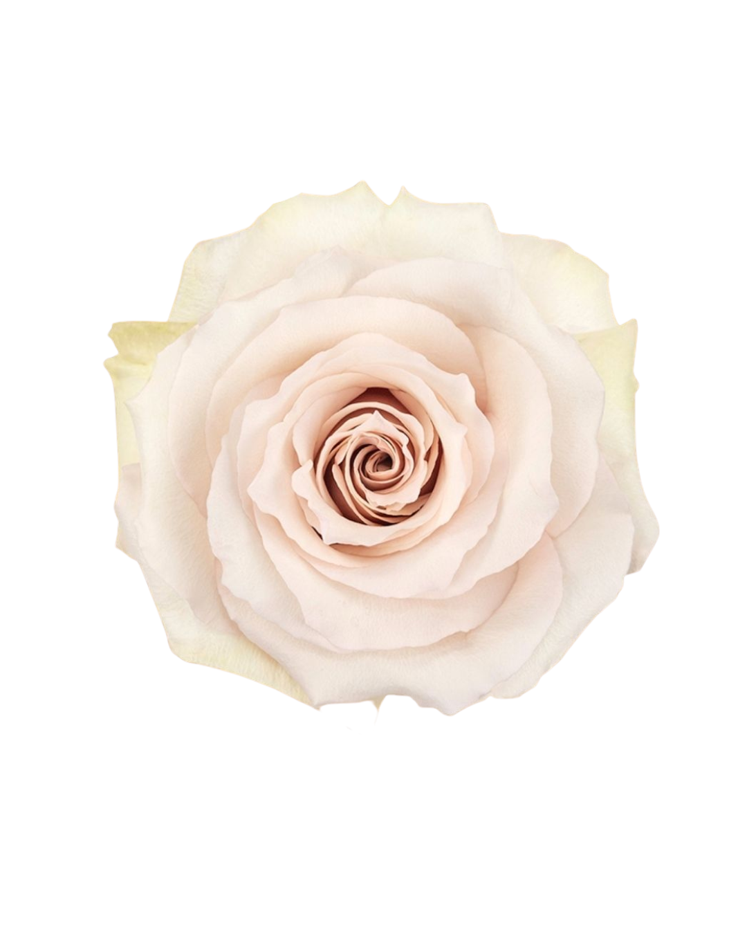 Quicksand Quicksand - Image 1