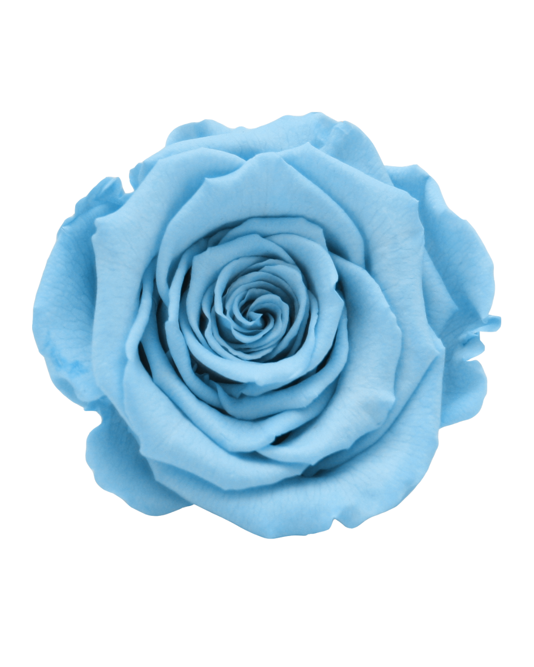 Skyblue Skyblue - Image 1