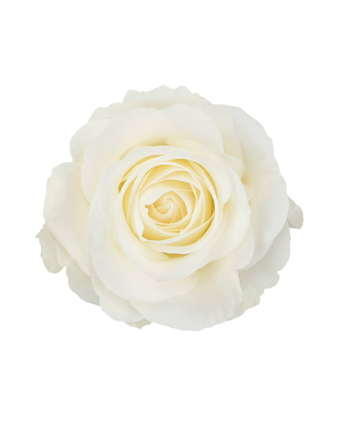 Tibet Tibet - Image 1