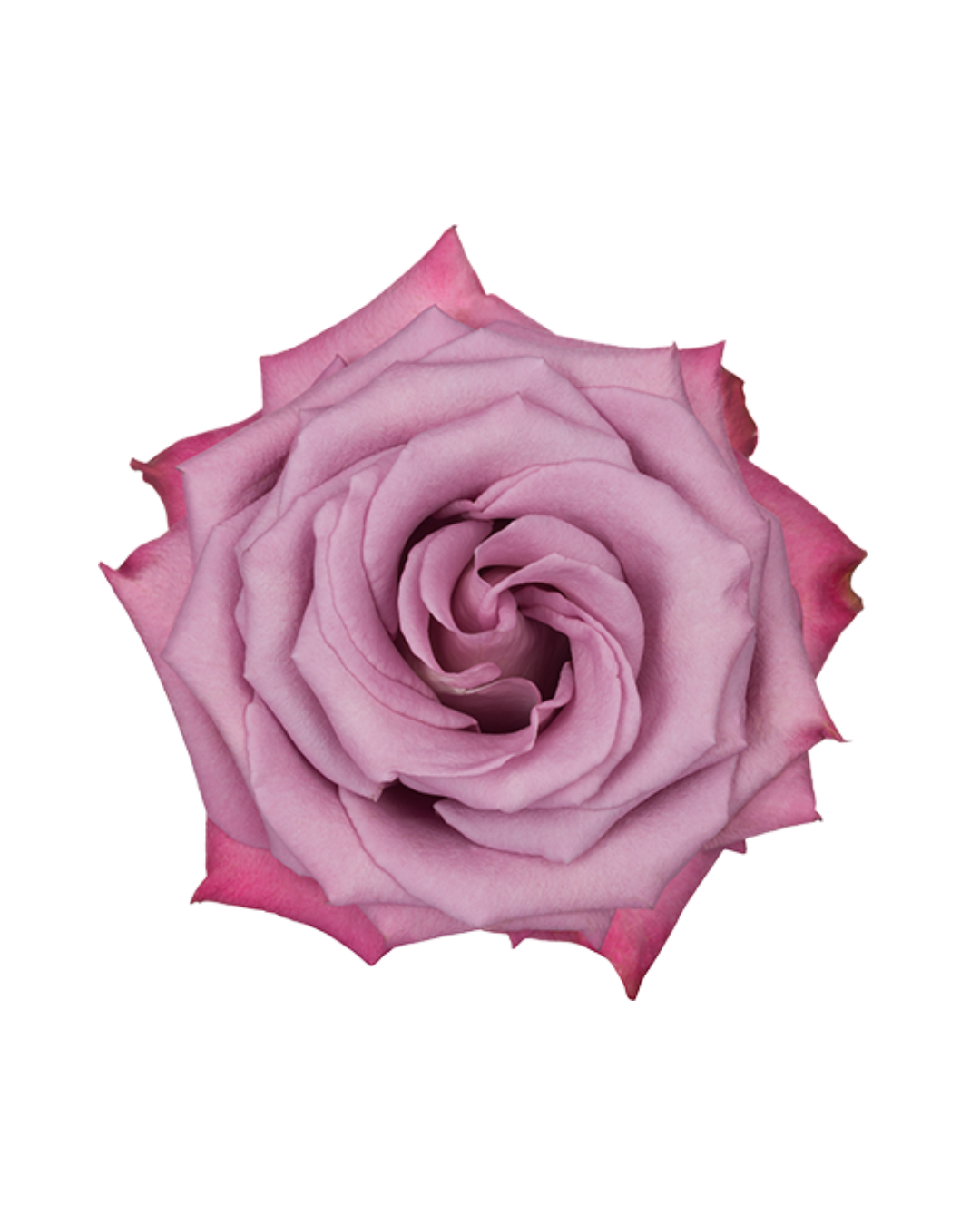 moody Blues Moody Blues - Image 1