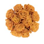 Honey Velvet - Image 2