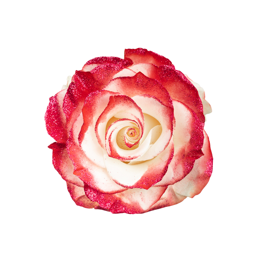 12 Crimson Glitter - Image 1