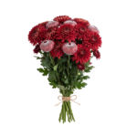 Crisantemo Andrea Red - Image 2