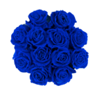 Blue Velvet - Image 2