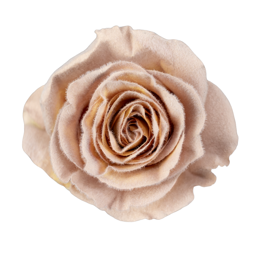 95 Nude Velvet - Image 1