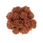 Terracotta Velvet - Image 2