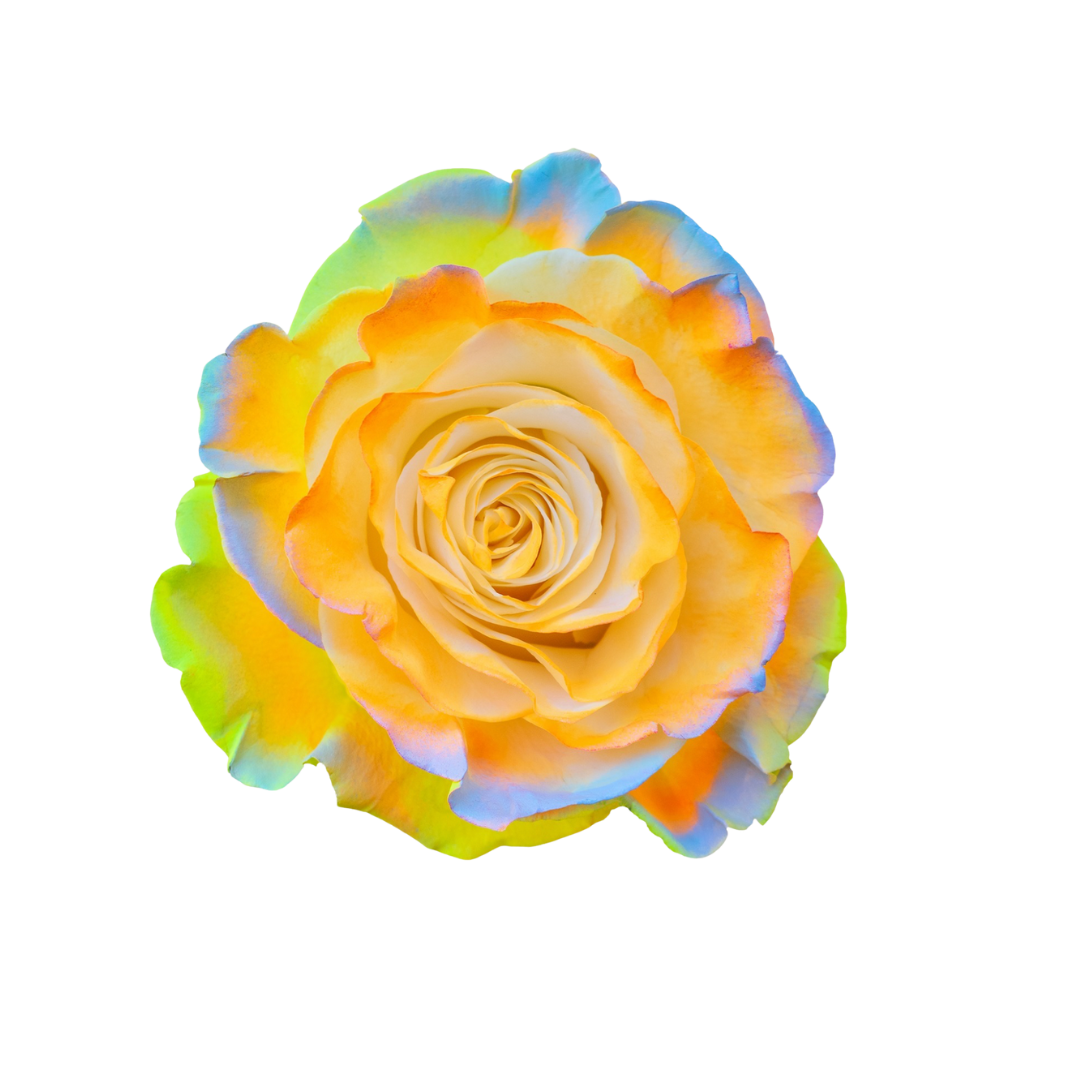 Auriel Auriel - Image 1