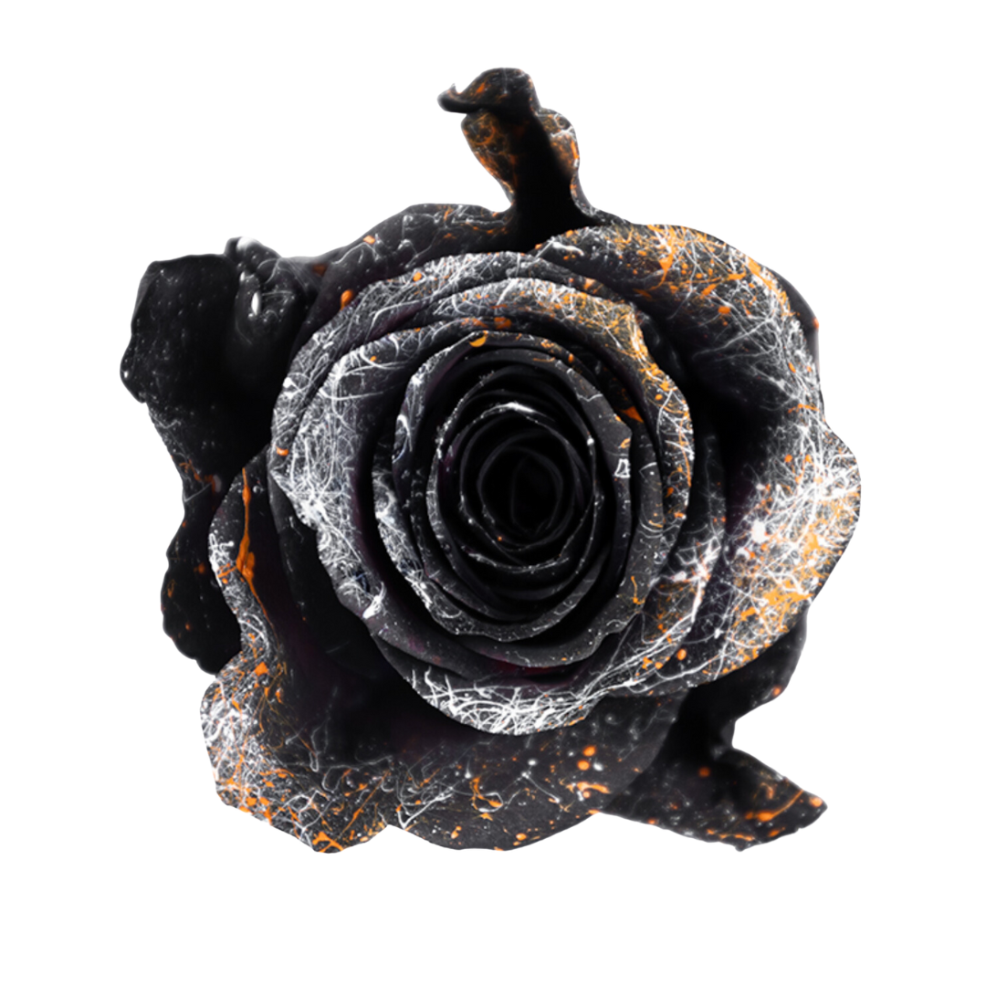 Black White Splash Black White Splash - Image 1