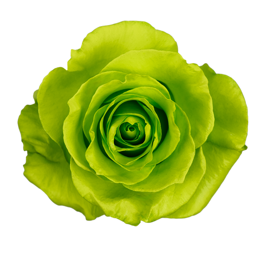 Citrus Pop Citrus Pop - Image 1