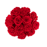 Velvet Taupe - Image 2