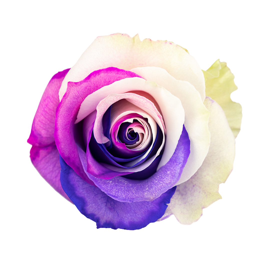 Deep Nebula Deep Nebula - Image 1