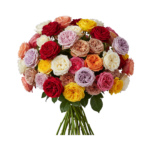 Assorted Garden Roses – Mix Colors (Farm Choice)