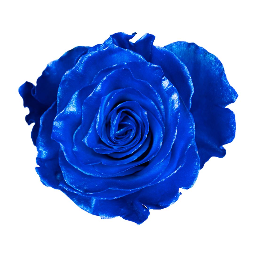 Electric Sapphire Electric Sapphire - Image 1