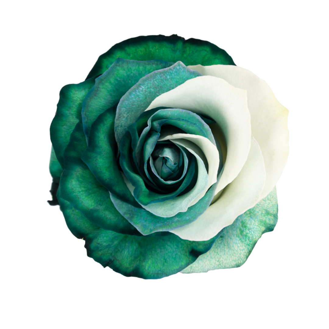 Emerald Split Emerald Split - Image 1