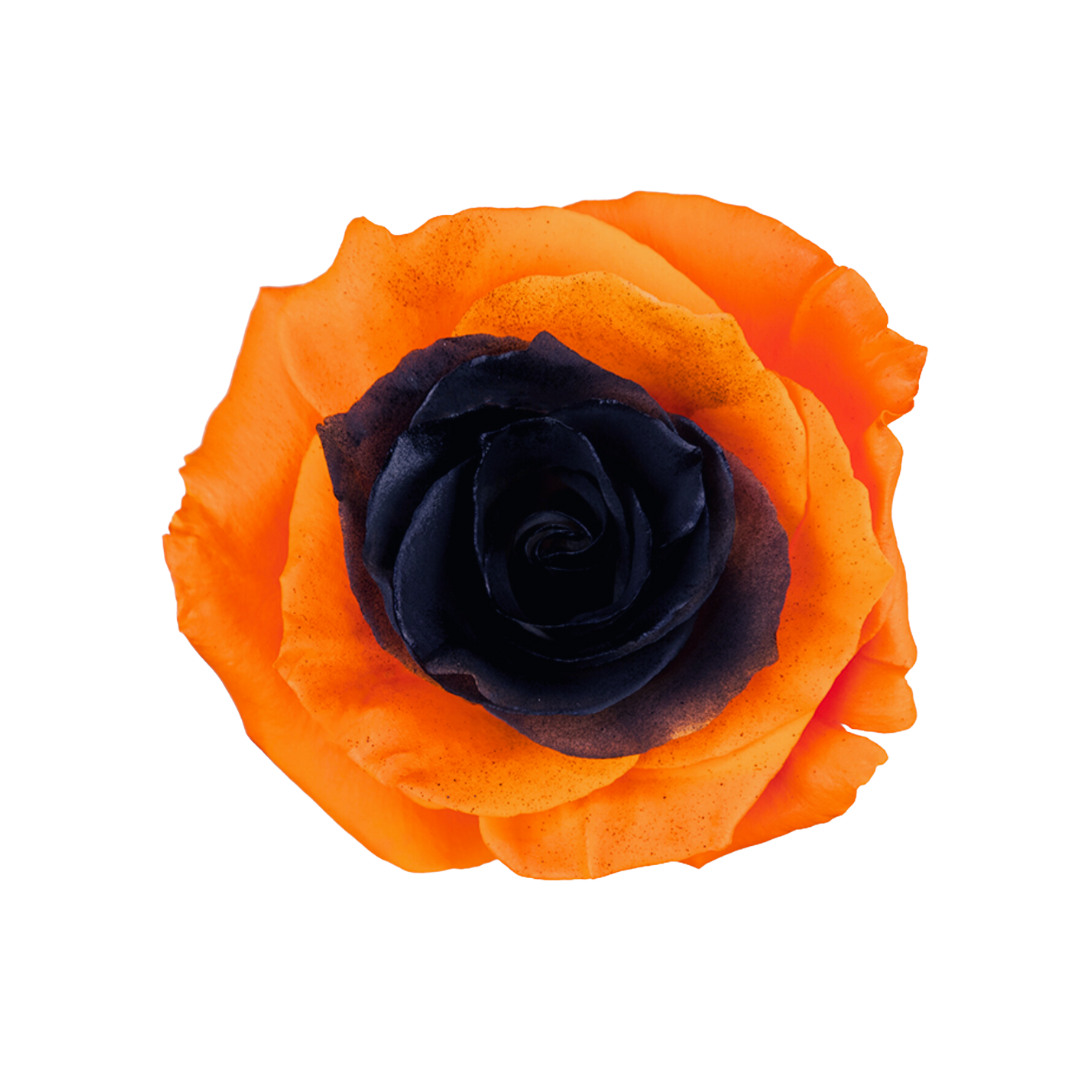 Eye Black Eye Black - Image 1