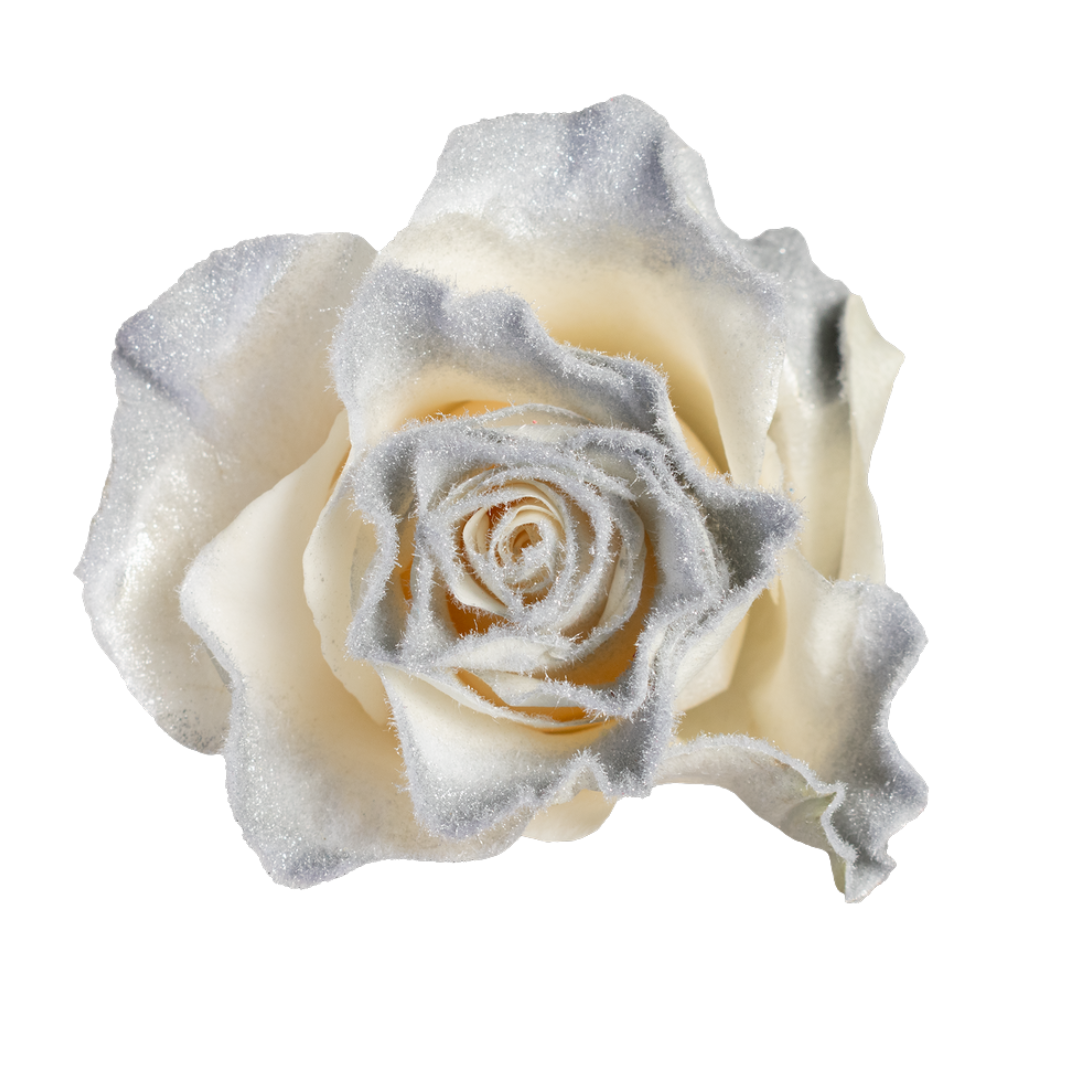 Frost Queen Frost Queen - Image 1