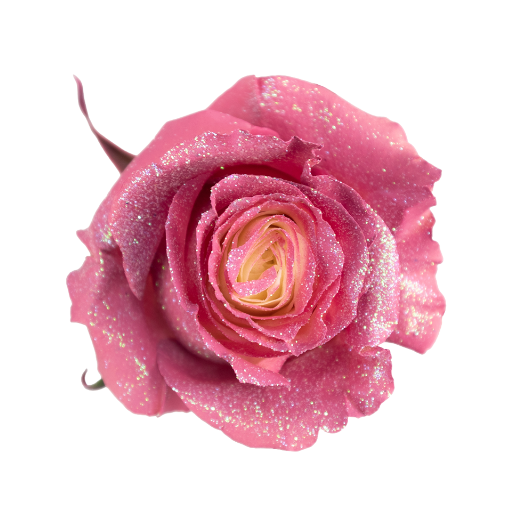 Glimmer Glimmer - Image 1