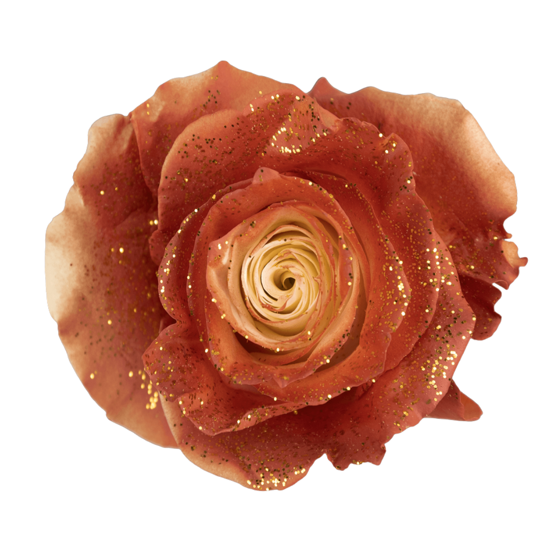 Glitter Dipped Rose Glitter Dipped Rose - Image 1