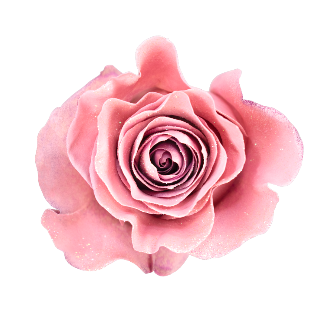 Malva Malva - Image 1