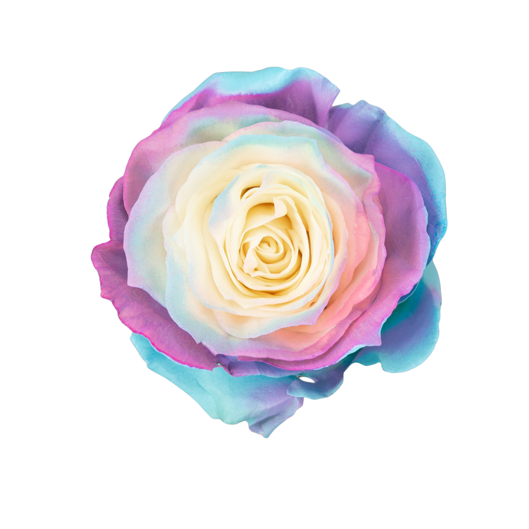 Mermaid Scales Unicorn Kiss - Image 1