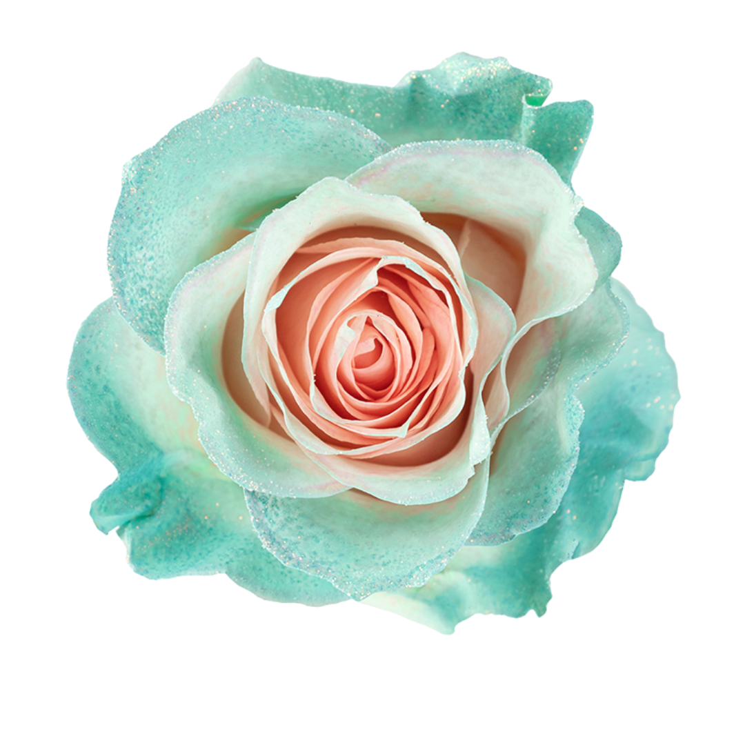 Mint Glaze Mint Glaze - Image 1