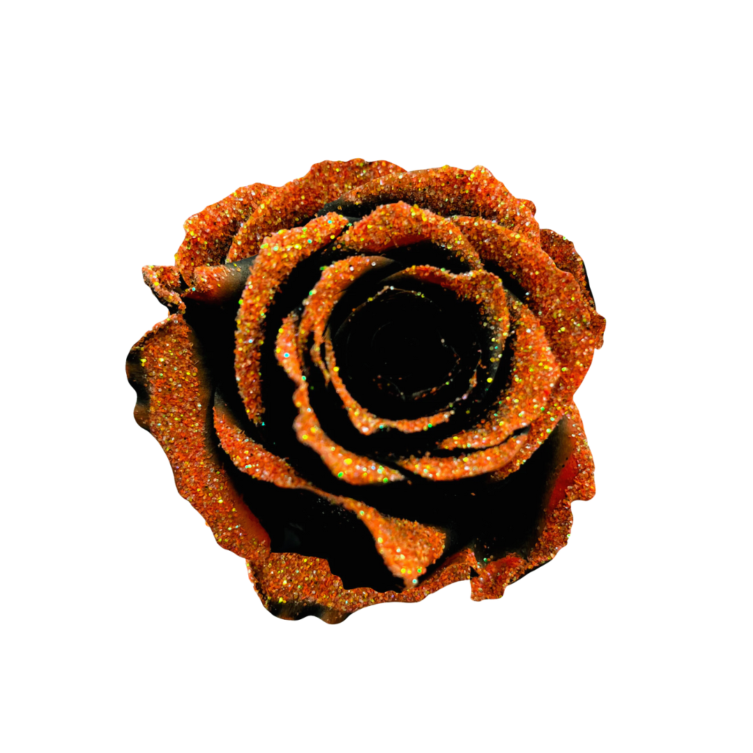 Pumpkin Sparkle Pumpkin Sparkle - Image 1