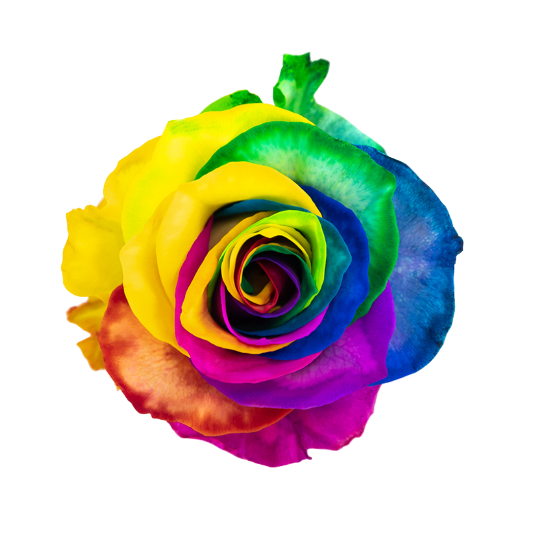 Rainbow Rainbow - Image 1