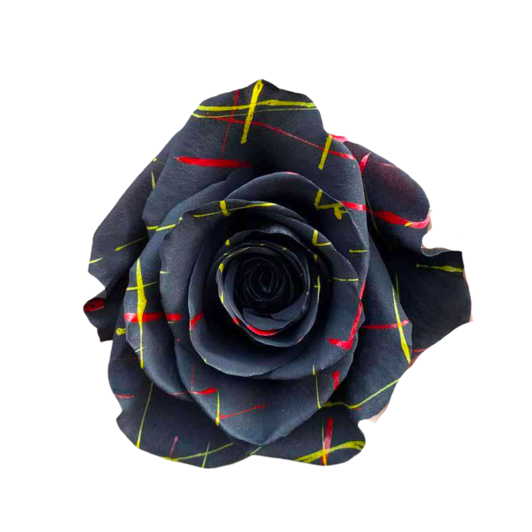 Splash (1) Splash - Image 1