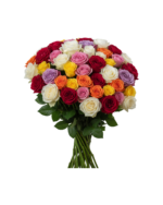 Assorted Roses – Mix Colors (Farm Choice)