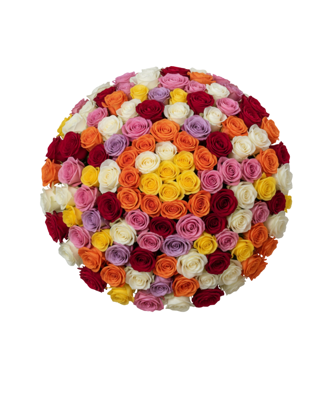 Sweetness(6) Mix Color Roses – Pick Your Own Colors - Image 1