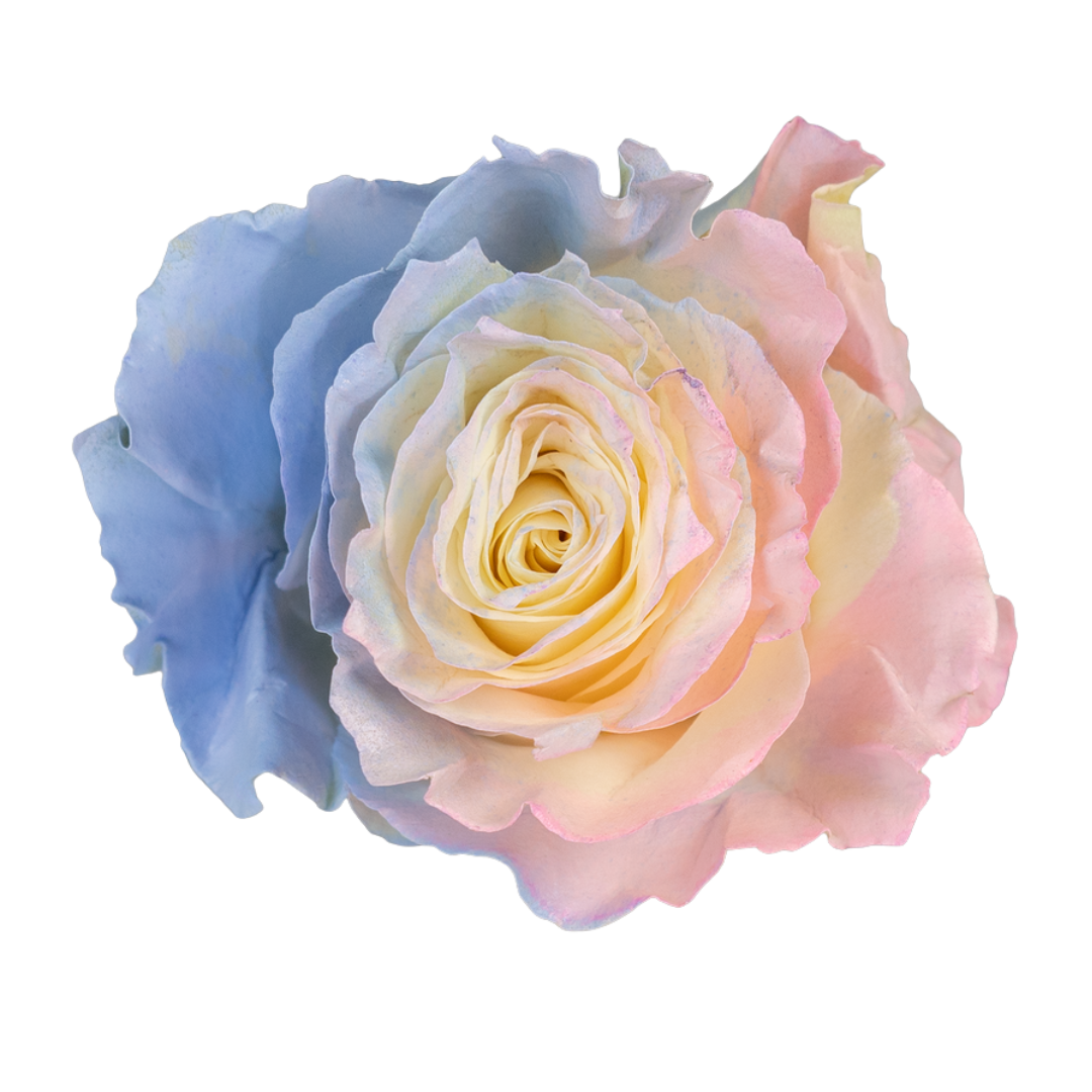 Unicorn Kiss Mermaid Scales - Image 1