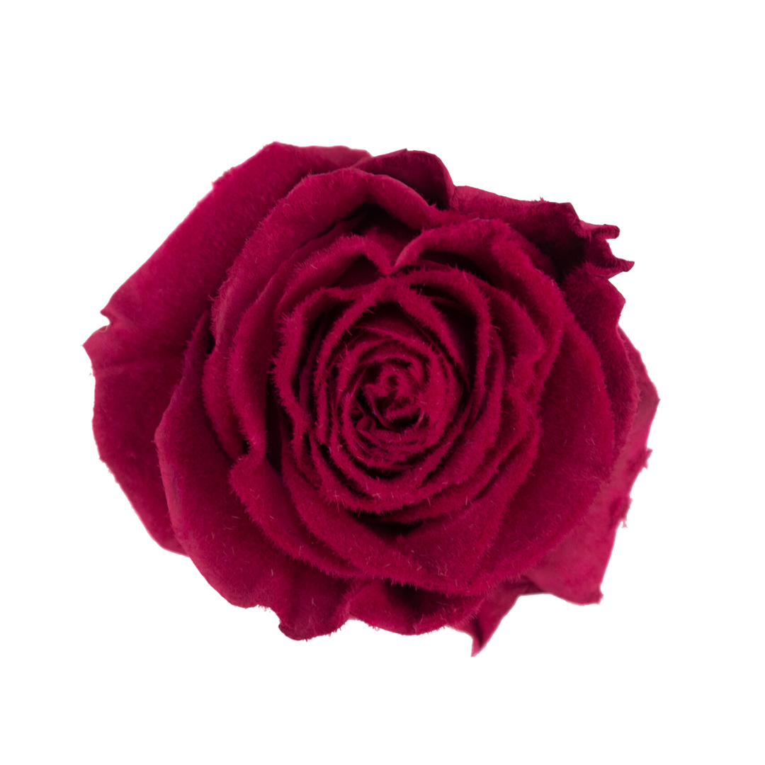 Velvet Dark Cherry Velvet Dark Cherry - Image 1