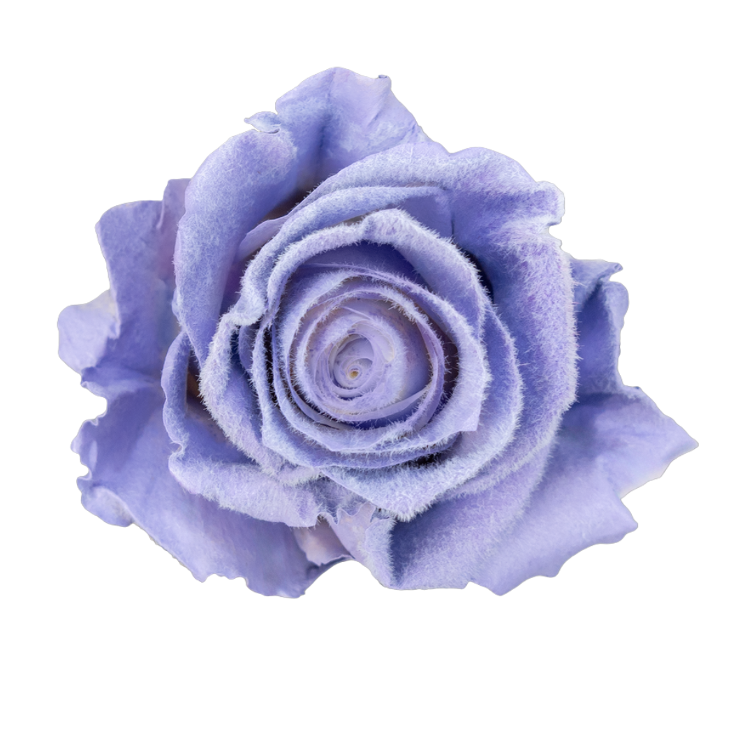 Velvet Haze Velvet Haze - Image 1